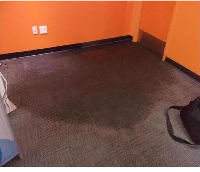 Wet Carpet orange wall 