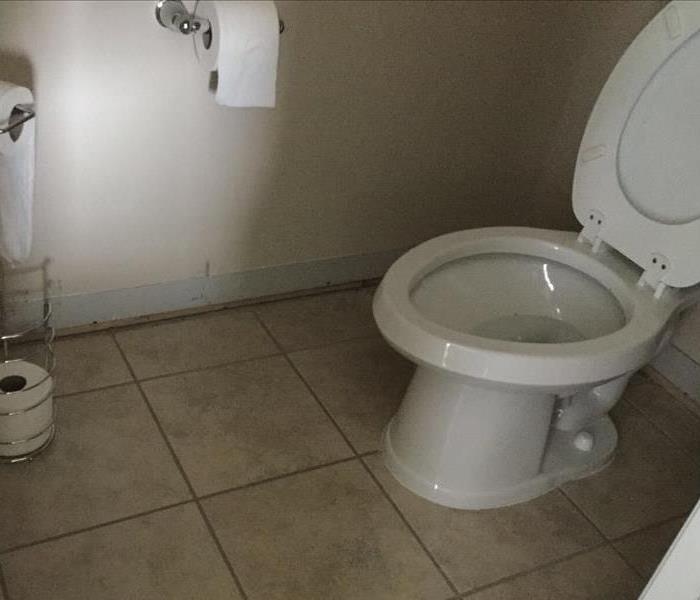 Toilet Causes Overflow of Water